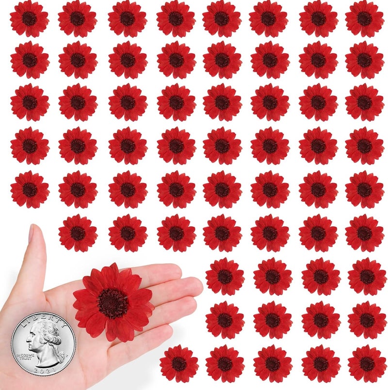 ALJ 60PCS Natural Small Dried Sunflowers for Resin, Red Real Pressed Sunflower Dry Sunflowers for Crafts DIY Epoxy Resin Mold Jewelry Candle Scrapbooking Card Making Home Wedding Decoration - Image 1